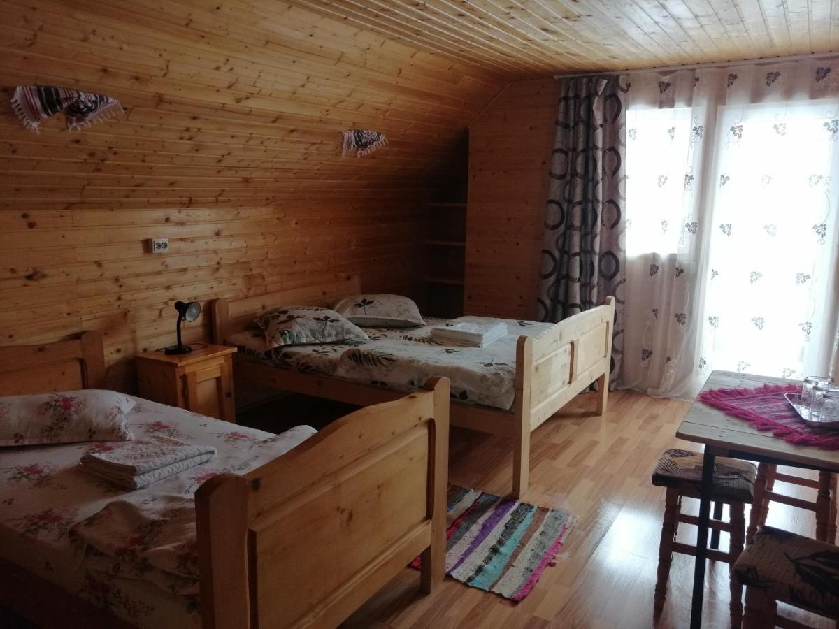 Cabana Ghetari Extérieur photo