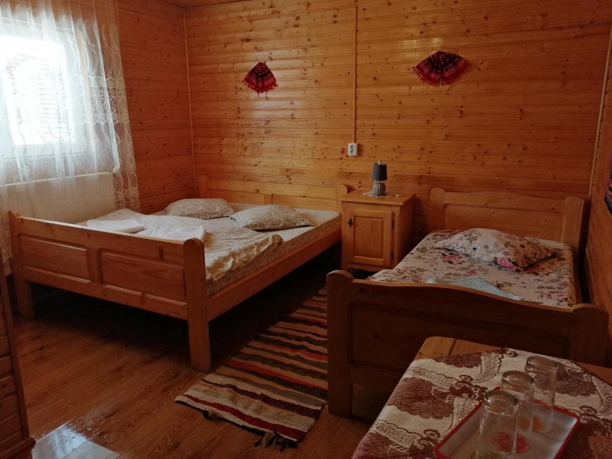 Cabana Ghetari Extérieur photo