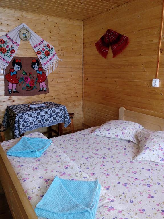 Cabana Ghetari Extérieur photo