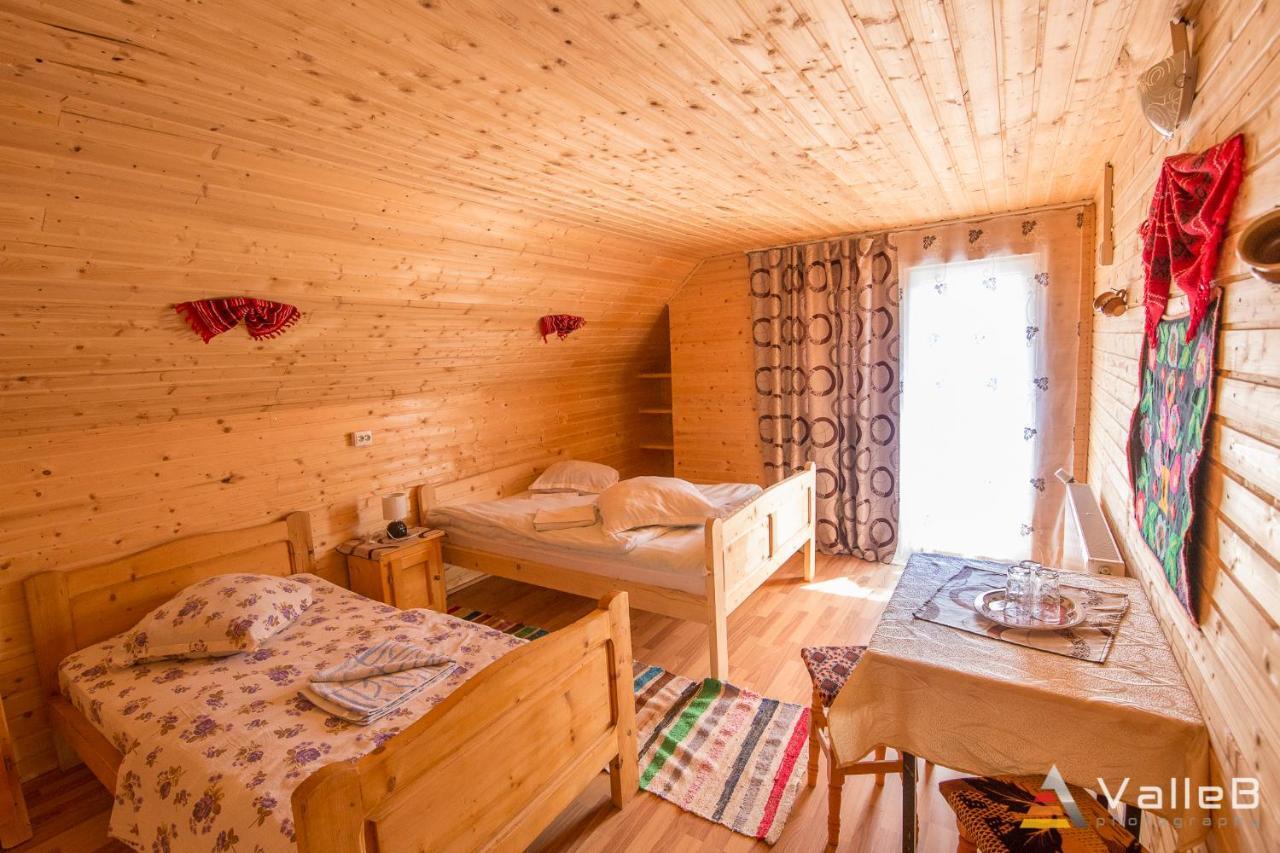 Cabana Ghetari Extérieur photo